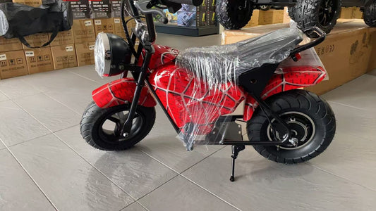 Electric Rechargeable Bike 36 Volt with brushless Motor 350 Watts, Air Rubber Wheels, optional training wheels