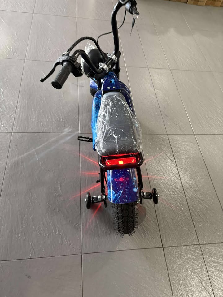 Electric Rechargeable Bike 36 Volt with brushless Motor 350 Watts, Air Rubber Wheels, optional training wheels