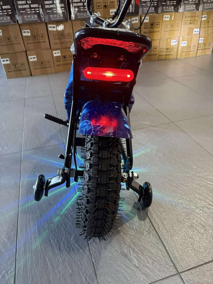 Electric Rechargeable Bike 36 Volt with brushless Motor 350 Watts, Air Rubber Wheels, optional training wheels