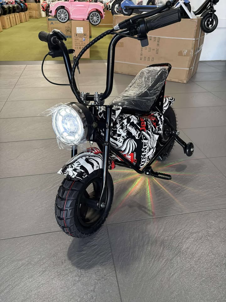 Electric Rechargeable Bike 36 Volt with brushless Motor 350 Watts, Air Rubber Wheels, optional training wheels