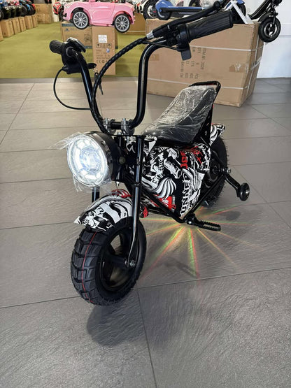 Electric Rechargeable Bike 36 Volt with brushless Motor 350 Watts, Air Rubber Wheels, optional training wheels