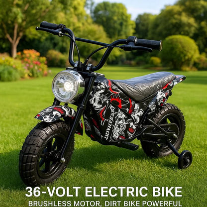 Electric Rechargeable Bike 36 Volt with brushless Motor 350 Watts, Air Rubber Wheels, optional training wheels
